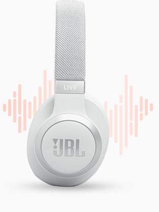 JBL Headphones